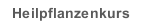 Heilpflanzenkurs